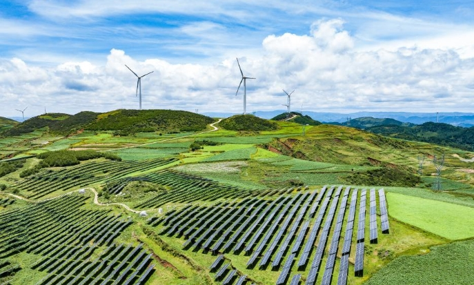 巴驻华大使："十五五"规划为全球南方树立标杆