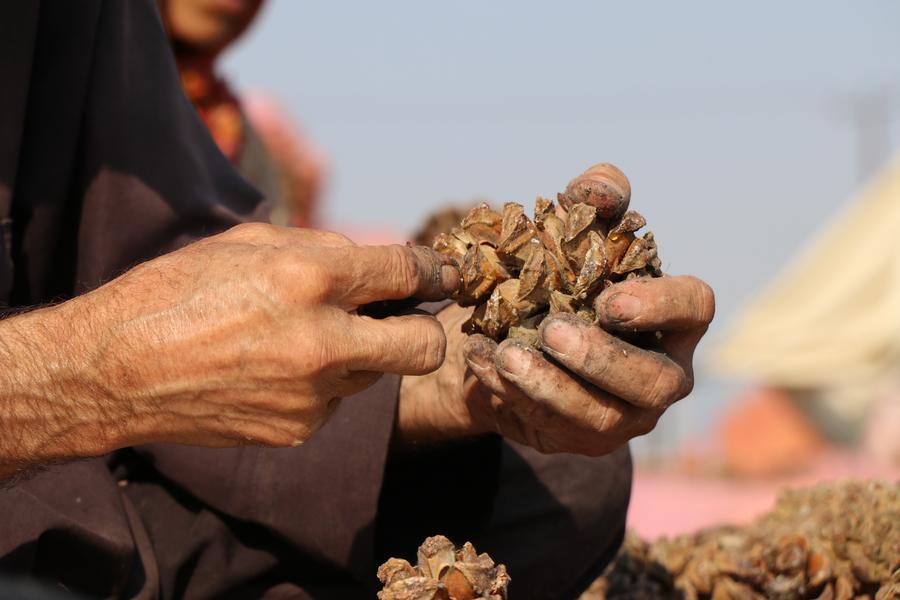 中巴贸易合作惠及当地产业与民生