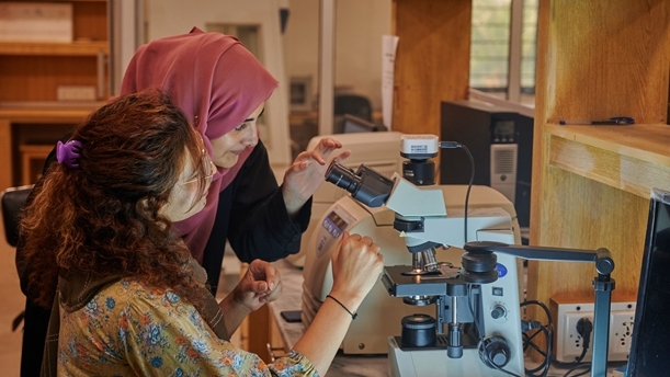 巴专家：中国是南南合作最强有力支持者