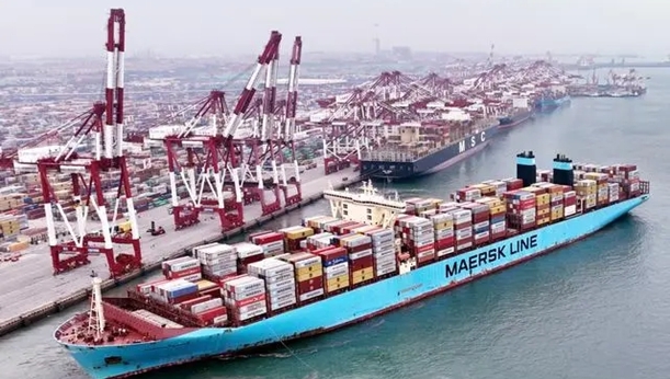 巴前外交官：中等强国战略调整恰逢其时