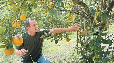 巴西多举措推动农业绿色转型(图1)